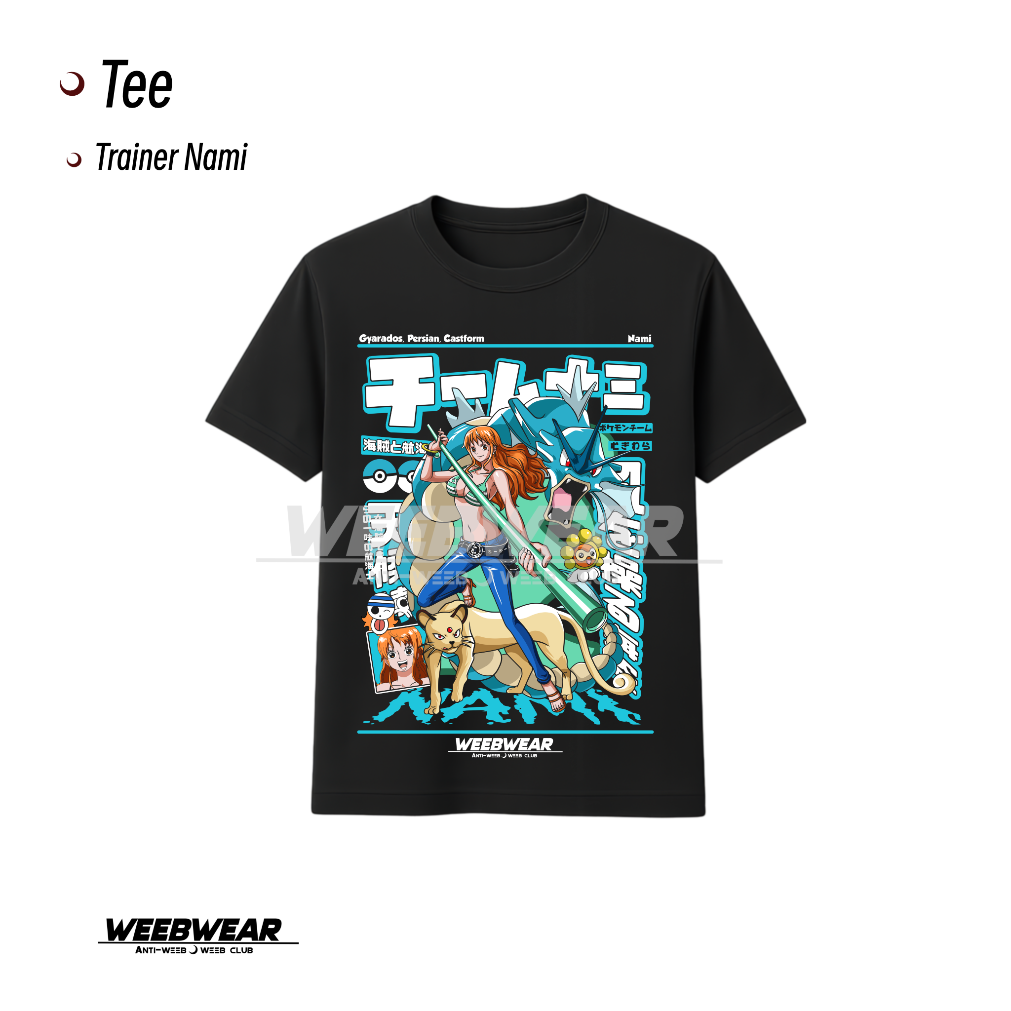Trainer Nami