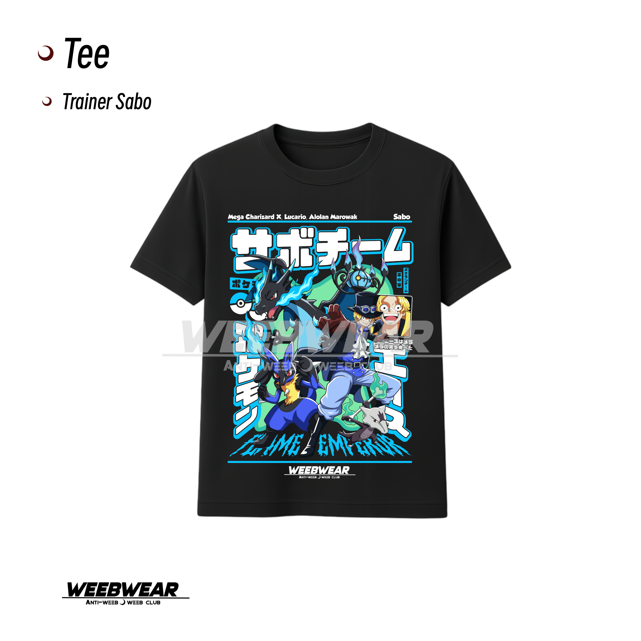 Trainer Sabo