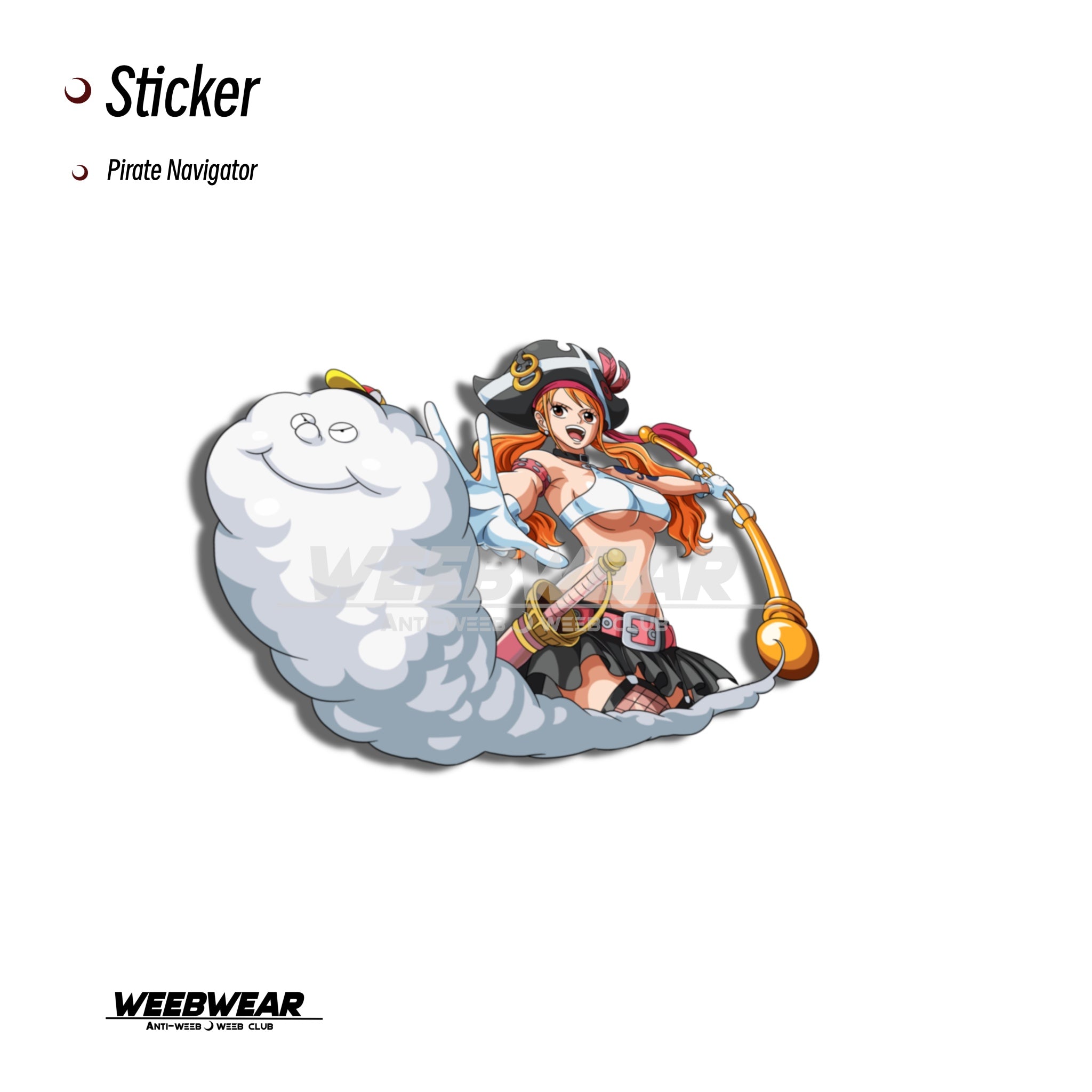 Pirate Navigator